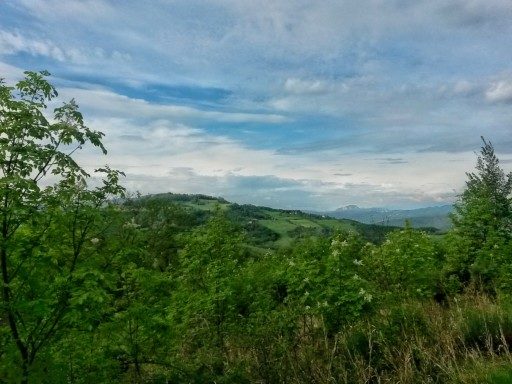 Il verde intenso della primavera appenninica e le montagne lanose