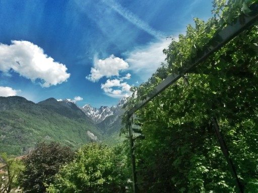 Uno sguardo verso l'alto che incanta, fuori dal pergolato del ristorante Crotasc