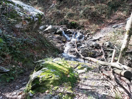 In salita un torrente, che qui pare un ruscello ma non lo è, richiede un guado facile