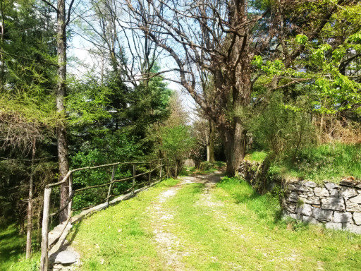 Un passaggio erboso, piano e rilassante al rientro in direzione Omegna