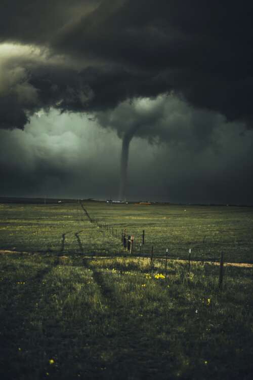 twister